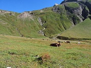 pcam22 008